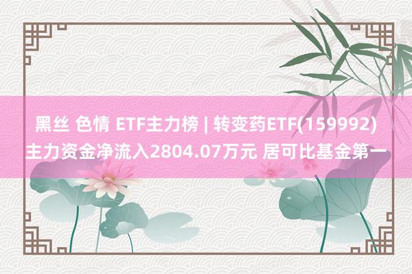 黑丝 色情 ETF主力榜 | 转变药ETF(159992)主力资金净流入2804.07万元 居可比基金第一