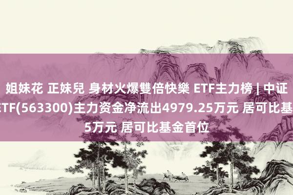 姐妹花 正妹兒 身材火爆雙倍快樂 ETF主力榜 | 中证2000ETF(563300)主力资金净流出4979.25万元 居可比基金首位