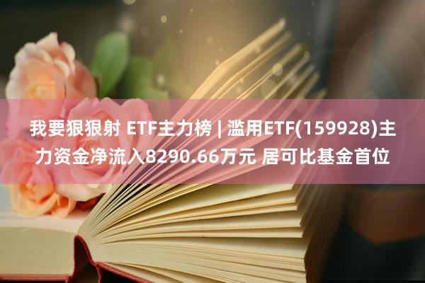 我要狠狠射 ETF主力榜 | 滥用ETF(159928)主力资金净流入8290.66万元 居可比基金首位