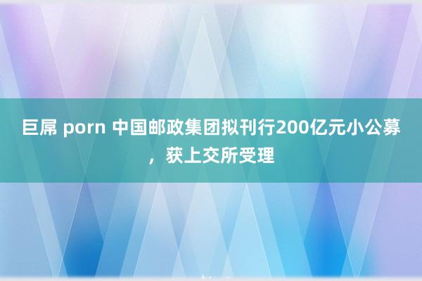 巨屌 porn 中国邮政集团拟刊行200亿元小公募，获上交所受理