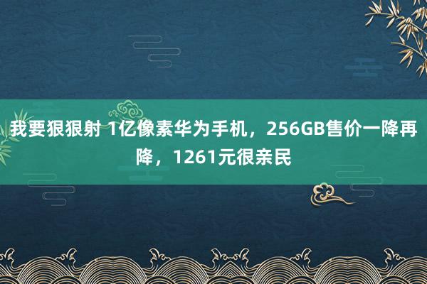 我要狠狠射 1亿像素华为手机，256GB售价一降再降，1261元很亲民