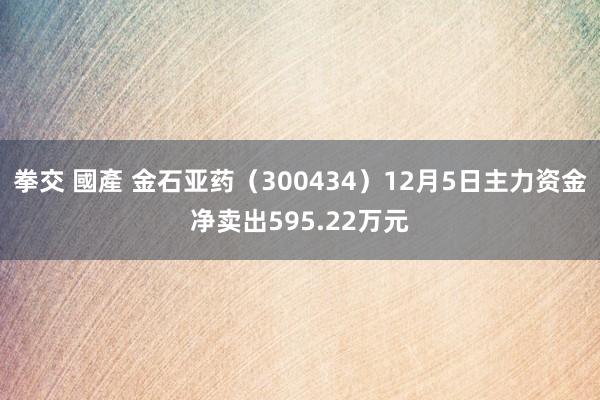 拳交 國產 金石亚药（300434）12月5日主力资金净卖出595.22万元