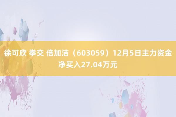 徐可欣 拳交 倍加洁（603059）12月5日主力资金净买入27.04万元