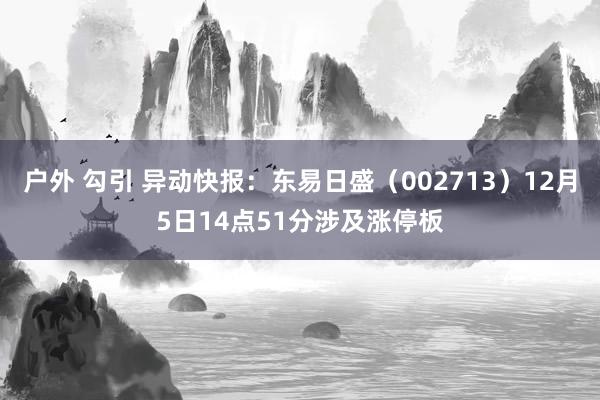 户外 勾引 异动快报：东易日盛（002713）12月5日14点51分涉及涨停板