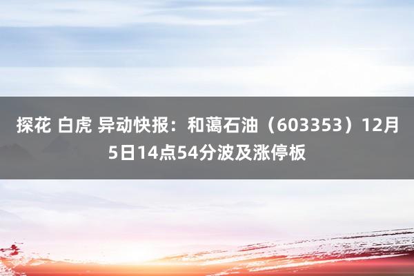 探花 白虎 异动快报：和蔼石油（603353）12月5日14点54分波及涨停板