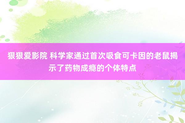 狠狠爱影院 科学家通过首次吸食可卡因的老鼠揭示了药物成瘾的个体特点