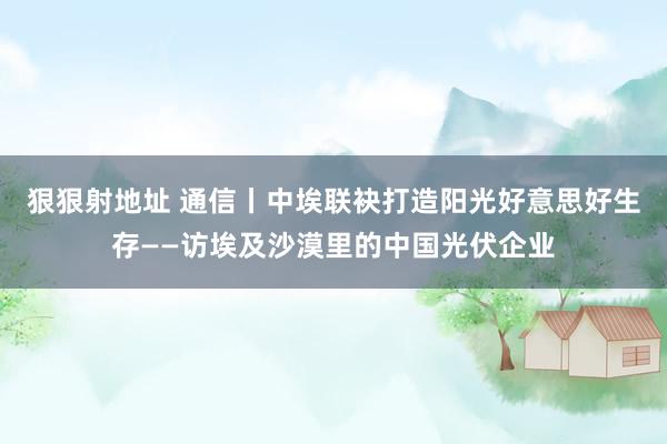 狠狠射地址 通信丨中埃联袂打造阳光好意思好生存——访埃及沙漠里的中国光伏企业