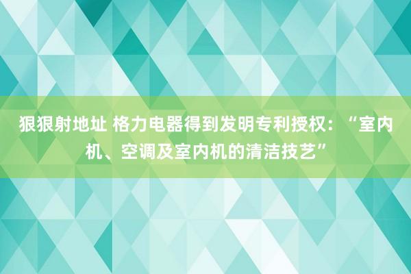 狠狠射地址 格力电器得到发明专利授权：“室内机、空调及室内机的清洁技艺”