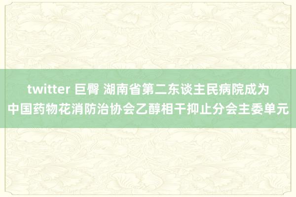 twitter 巨臀 湖南省第二东谈主民病院成为中国药物花消防治协会乙醇相干抑止分会主委单元