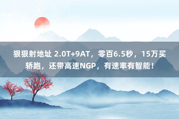 狠狠射地址 2.0T+9AT，零百6.5秒，15万买轿跑，还带高速NGP，有速率有智能！