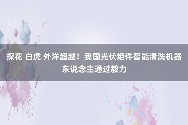 探花 白虎 外洋超越！我国光伏组件智能清洗机器东说念主通过毅力