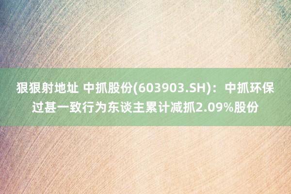 狠狠射地址 中抓股份(603903.SH)：中抓环保过甚一致行为东谈主累计减抓2.09%股份