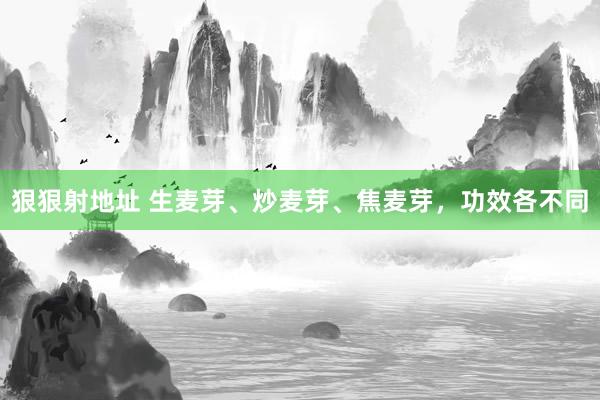 狠狠射地址 生麦芽、炒麦芽、焦麦芽，功效各不同