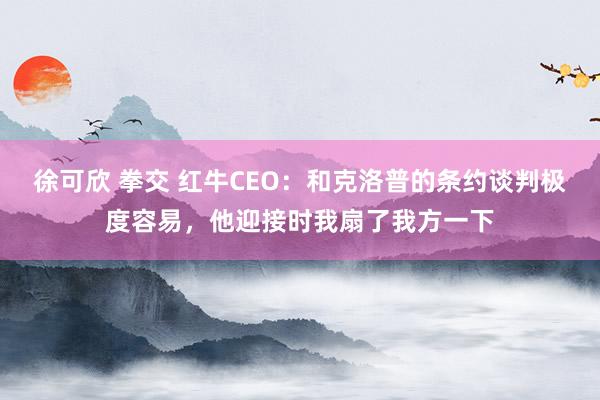 徐可欣 拳交 红牛CEO：和克洛普的条约谈判极度容易，他迎接时我扇了我方一下