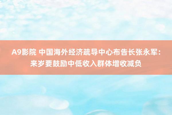 A9影院 中国海外经济疏导中心布告长张永军：来岁要鼓励中低收入群体增收减负