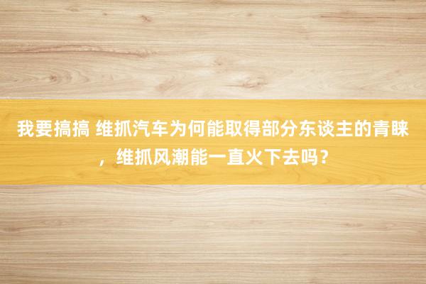 我要搞搞 维抓汽车为何能取得部分东谈主的青睐，维抓风潮能一直火下去吗？