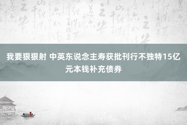 我要狠狠射 中英东说念主寿获批刊行不独特15亿元本钱补充债券