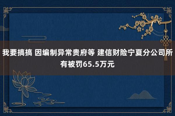 我要搞搞 因编制异常贵府等 建信财险宁夏分公司所有被罚65.5万元