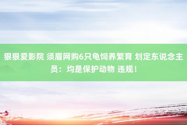 狠狠爱影院 须眉网购6只龟饲养繁育 划定东说念主员：均是保护动物 违规！