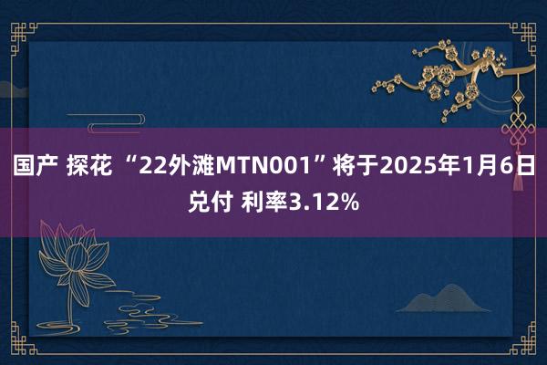 国产 探花 “22外滩MTN001”将于2025年1月6日兑付 利率3.12%