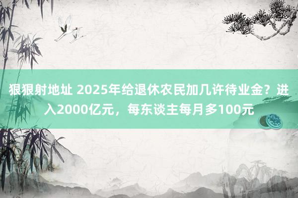 狠狠射地址 2025年给退休农民加几许待业金？进入2000亿元，每东谈主每月多100元