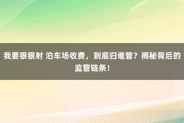 我要狠狠射 泊车场收费，到底归谁管？揭秘背后的监管链条！