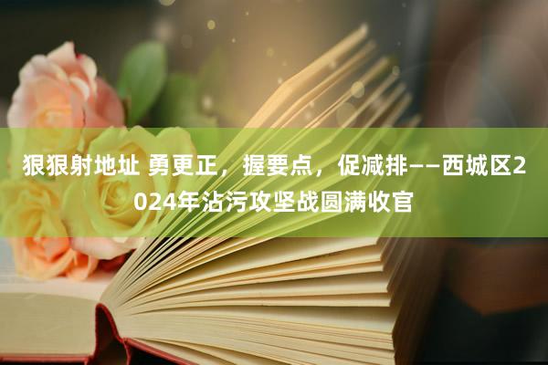 狠狠射地址 勇更正，握要点，促减排——西城区2024年沾污攻坚战圆满收官