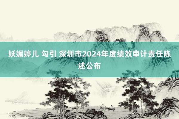 妖媚婷儿 勾引 深圳市2024年度绩效审计责任陈述公布