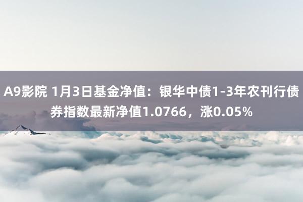 A9影院 1月3日基金净值：银华中债1-3年农刊行债券指数最新净值1.0766，涨0.05%