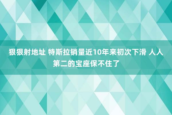 狠狠射地址 特斯拉销量近10年来初次下滑 人人第二的宝座保不住了