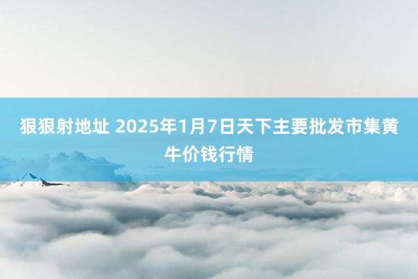 狠狠射地址 2025年1月7日天下主要批发市集黄牛价钱行情