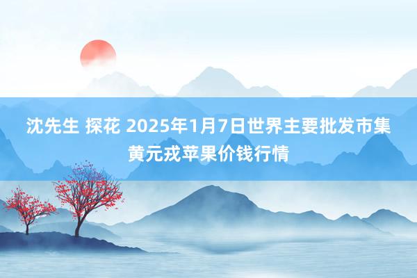 沈先生 探花 2025年1月7日世界主要批发市集黄元戎苹果价钱行情