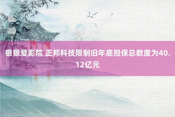 狠狠爱影院 正邦科技限制旧年底担保总数度为40.12亿元