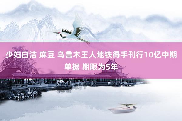 少妇白洁 麻豆 乌鲁木王人地铁得手刊行10亿中期单据 期限为5年