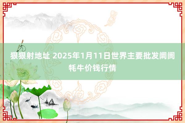 狠狠射地址 2025年1月11日世界主要批发阛阓牦牛价钱行情