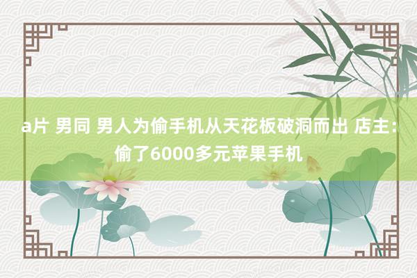 a片 男同 男人为偷手机从天花板破洞而出 店主：偷了6000多元苹果手机