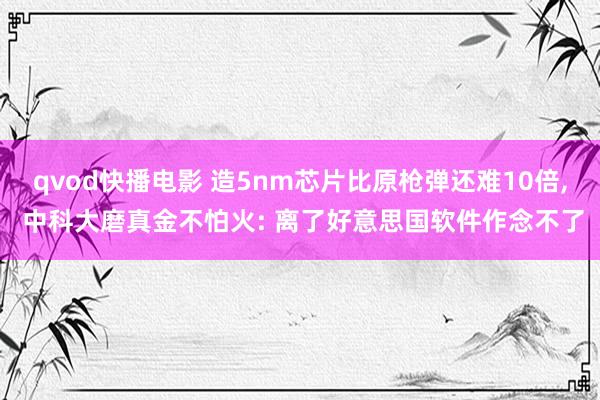 qvod快播电影 造5nm芯片比原枪弹还难10倍， 中科大磨真金不怕火: 离了好意思国软件作念不了