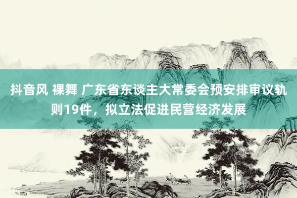 抖音风 裸舞 广东省东谈主大常委会预安排审议轨则19件，拟立法促进民营经济发展